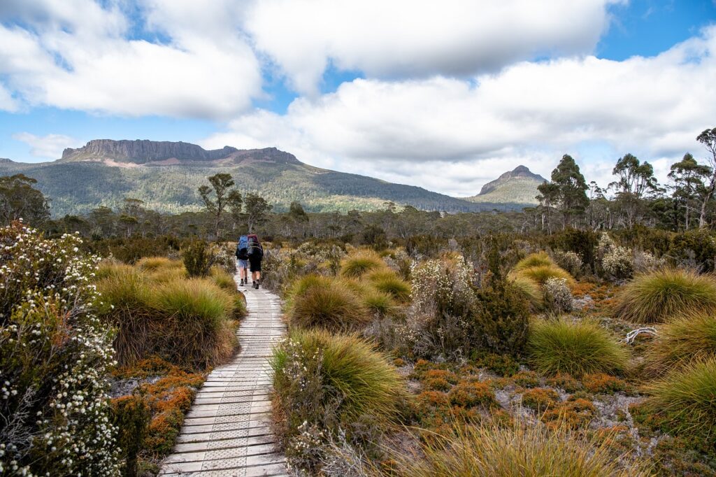 overland-track