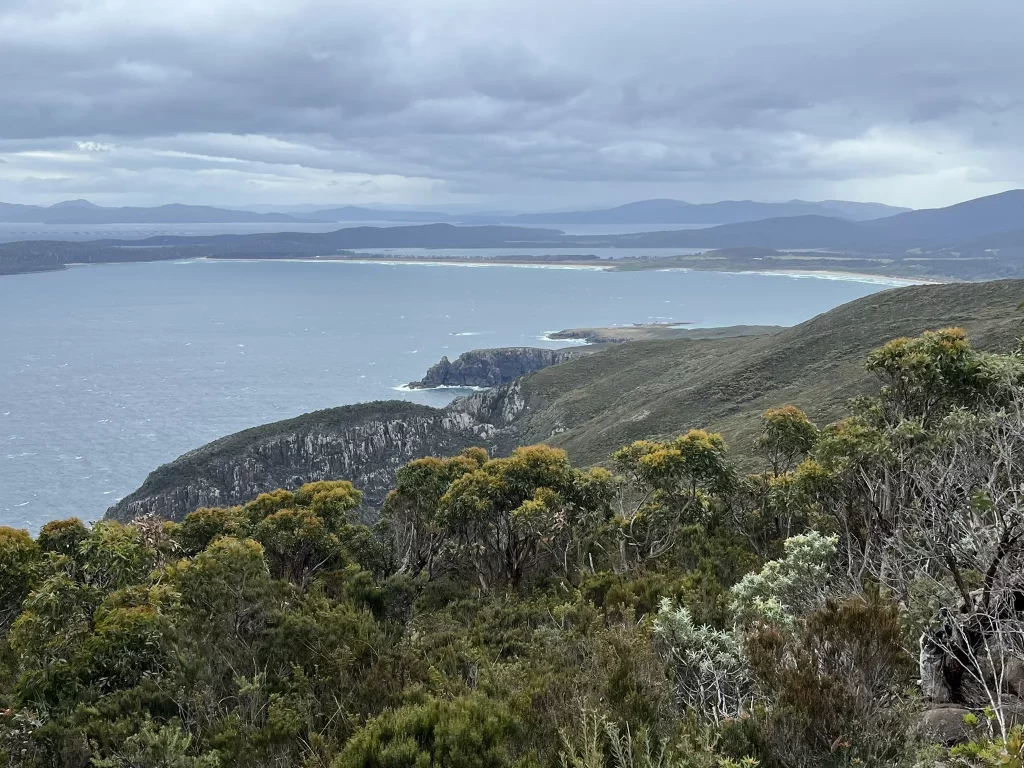 East Cloudy Head Track by Alltrails